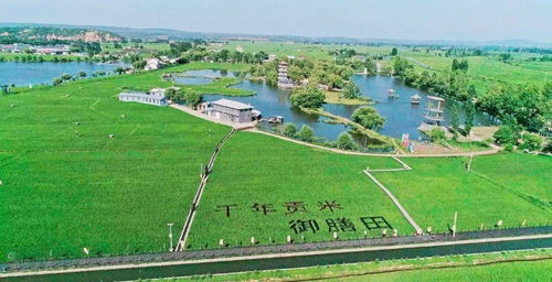 美麗鄉村 清涼避暑勝地與環境檢測服務的雙重魅力