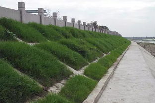 綿竹加強河道水環境治理，推進生態環境檢測服務