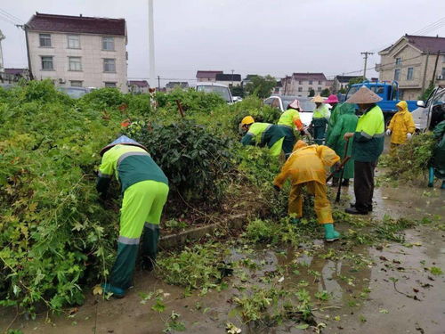 一把掃帚管到底，掃出文明新風貌——環境治理之路