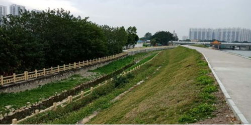 治水攻堅(jiān)戰(zhàn)｜新華街水環(huán)境治理進(jìn)行時(shí)，12月13日戰(zhàn)報(bào)及環(huán)境檢測(cè)服務(wù)動(dòng)態(tài)